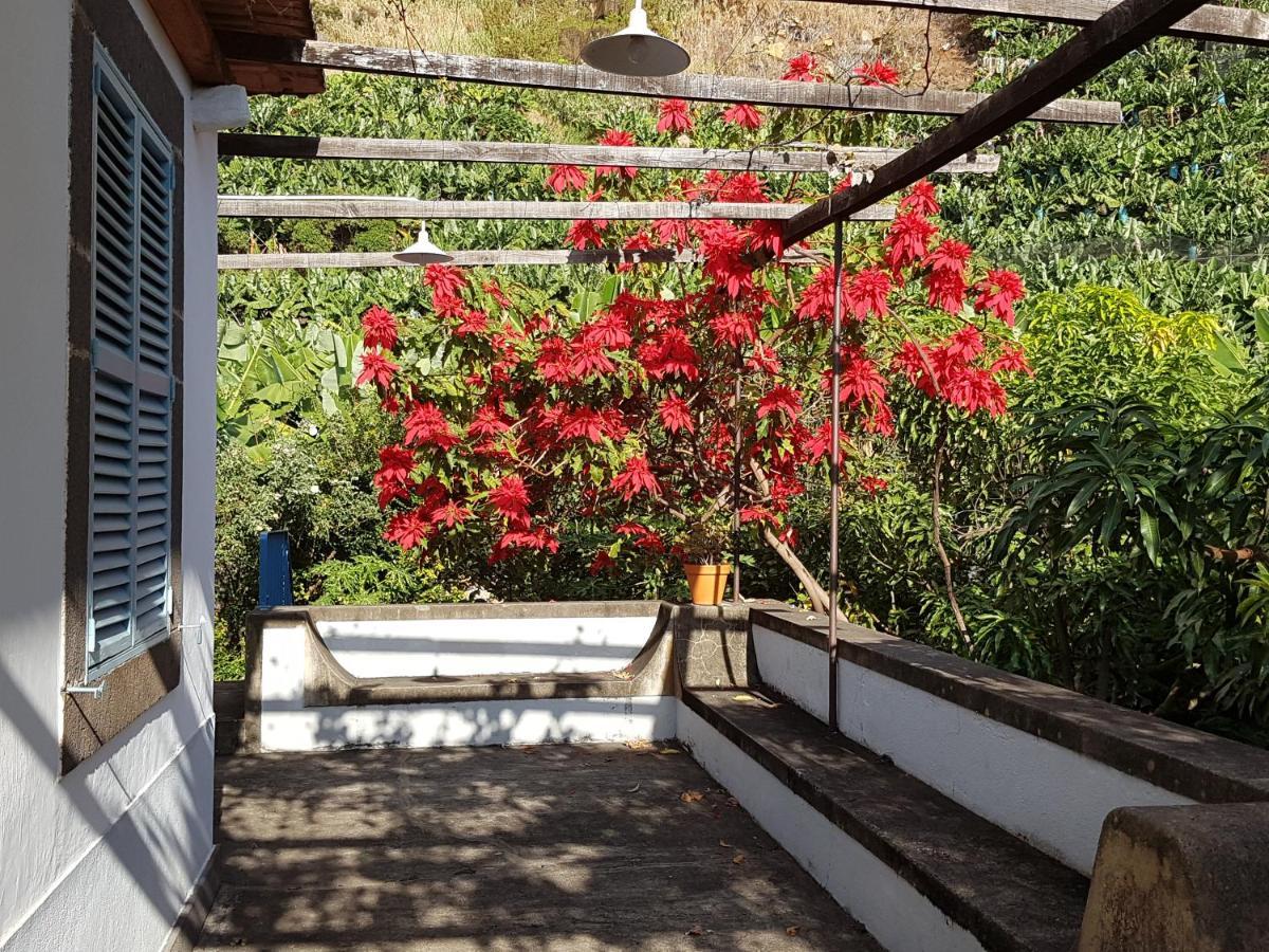 הוילה Casa Da Madalena Do Mar מראה חיצוני תמונה