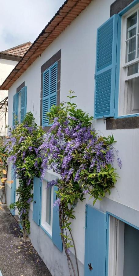 הוילה Casa Da Madalena Do Mar מראה חיצוני תמונה