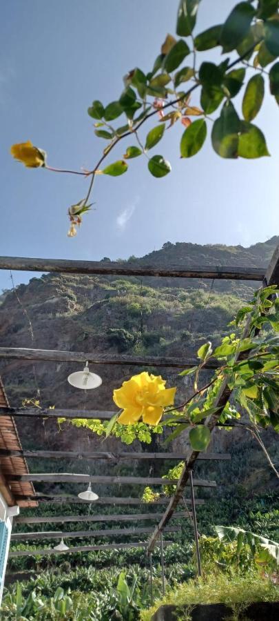 הוילה Casa Da Madalena Do Mar מראה חיצוני תמונה
