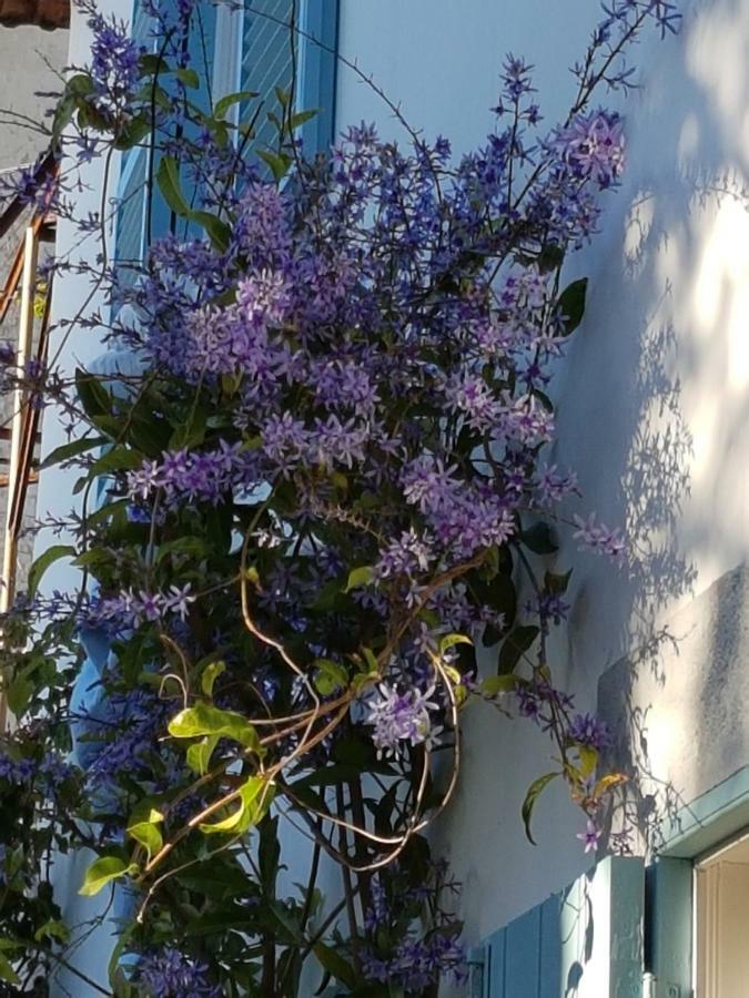 הוילה Casa Da Madalena Do Mar מראה חיצוני תמונה